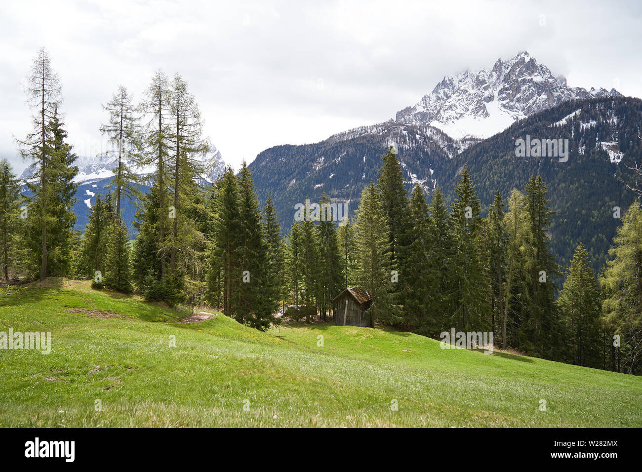 Une grange en bois typique (Tabia en italien) dans les Dolomites Alpes . Le format paysage. Banque D'Images