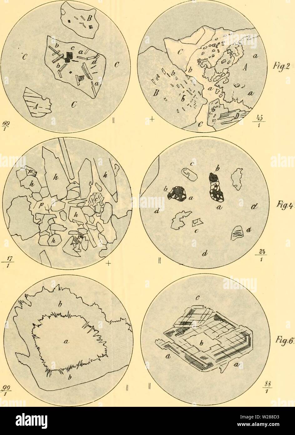 Image d'archive à partir de la page 384 de Denkschriften der Kaiserlichen Akademie der. Denkschriften der Kaiserlichen Akademie der Wissenschaften, Mathematisch-Naturwissenschaftliche Classe denkschriftender57kais Année : 1890 A/ Fig.3 Fig. k5 I Banque D'Images