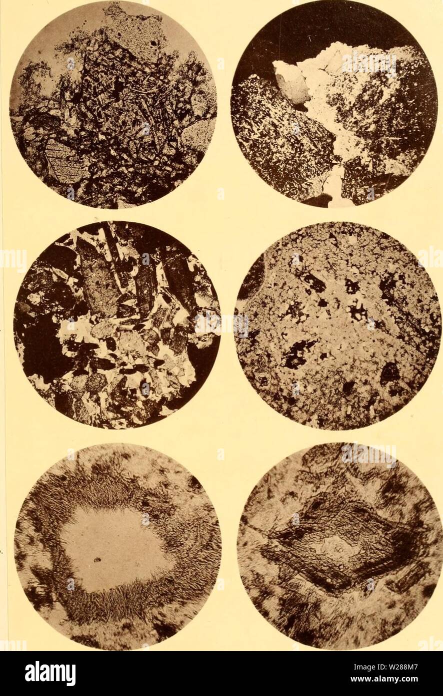 Image d'archive à partir de la page 386 de Denkschriften der Kaiserlichen Akademie der. Denkschriften der Kaiserlichen Akademie der Wissenschaften, Mathematisch-Naturwissenschaftliche Classe denkschriftender57kais Année : 1890 A. Rosiwal : Geologische Untersuchungen im centralen Balkai Taf. I. Fig. 1 Fig. 3, If. 5 Fig. 2. Fig. 4. Fig. (. M. od négatif .T. M. Eder ; fig. 5. G von F. Hartvvicli. I.von iclitaruck .M. lulTe. Wieu. Denkschriften d. kais. Akad. d. Wiss. math.-naturw. Classe. Bd. LVII. Banque D'Images