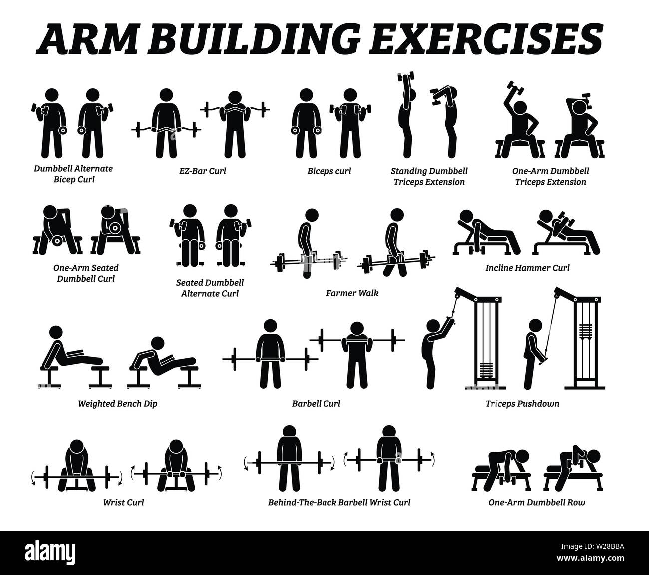Biceps Curl Machine Banque D images Vectorielles Alamy biceps-curl-machine-banque-d-images-vectorielles-alamy