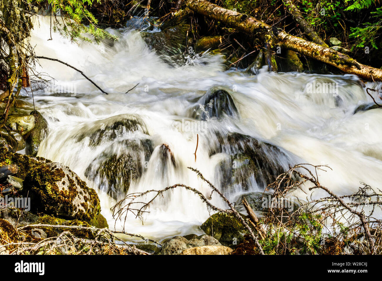 La neige printanière tumbling au sciage et cailloux sur Mcgillivray Creek entre Whitecroft et Sun Peaks dans les hautes terres de Shuswap en C.-B., Canada Banque D'Images