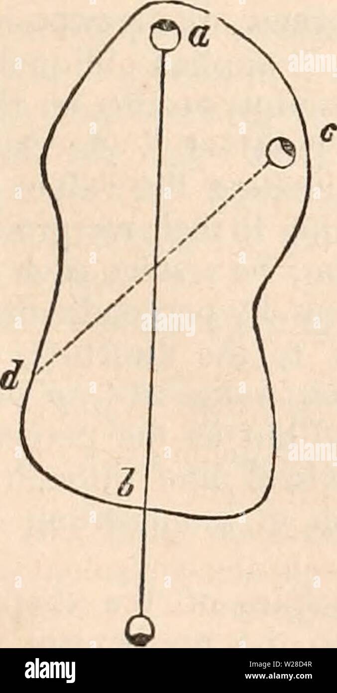 Image d'archive à partir de la page 422 de la cyclopaedia d'anatomie et de Banque D'Images