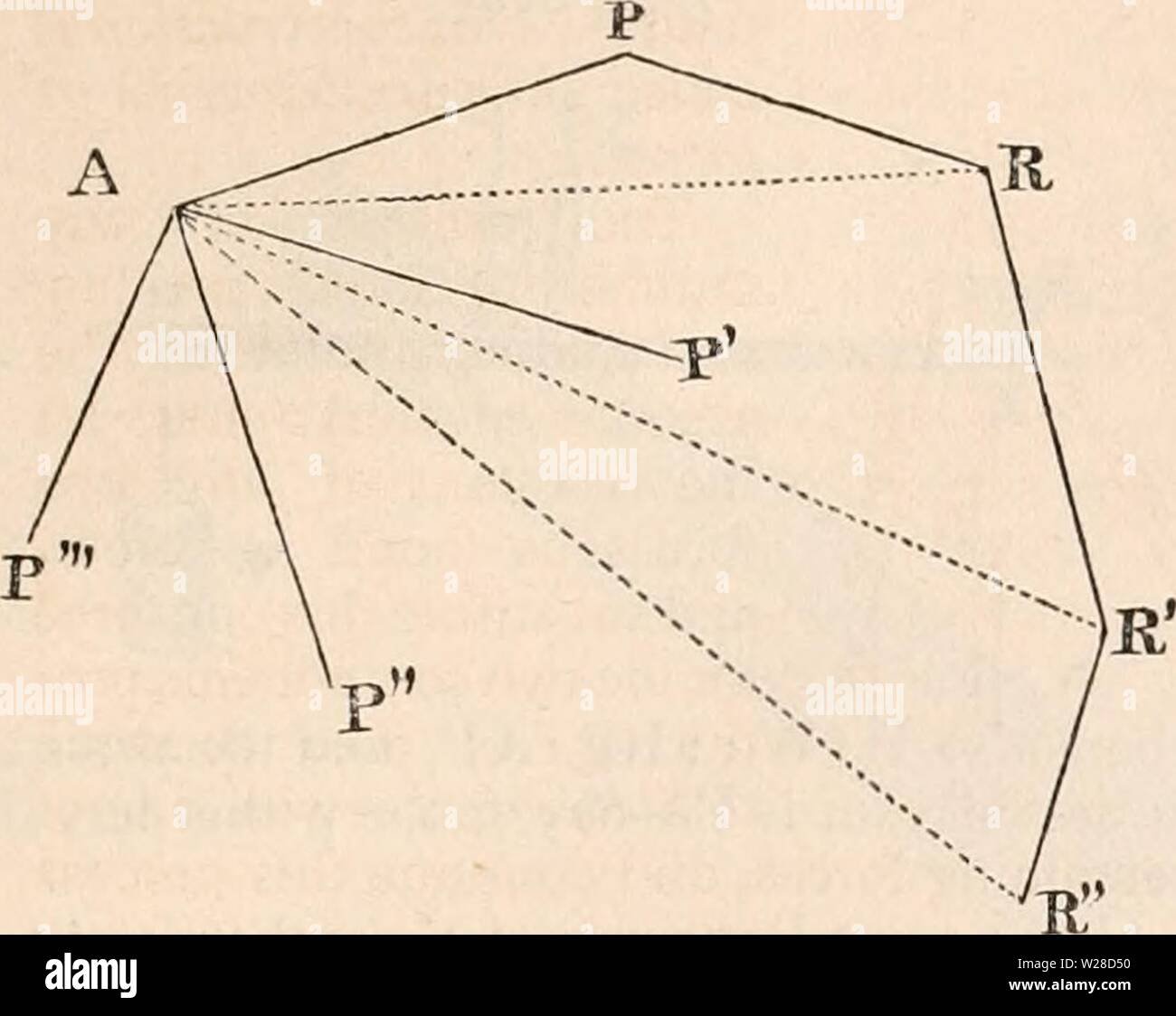 Image d'archive à partir de la page 422 de la cyclopaedia d'anatomie et de Banque D'Images