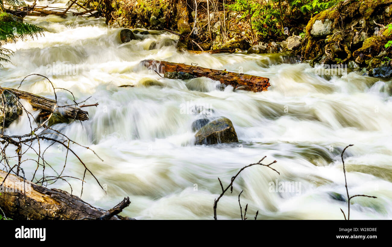 La neige printanière tumbling au sciage et cailloux sur Mcgillivray Creek entre Whitecroft et Sun Peaks dans les hautes terres de Shuswap en C.-B., Canada Banque D'Images