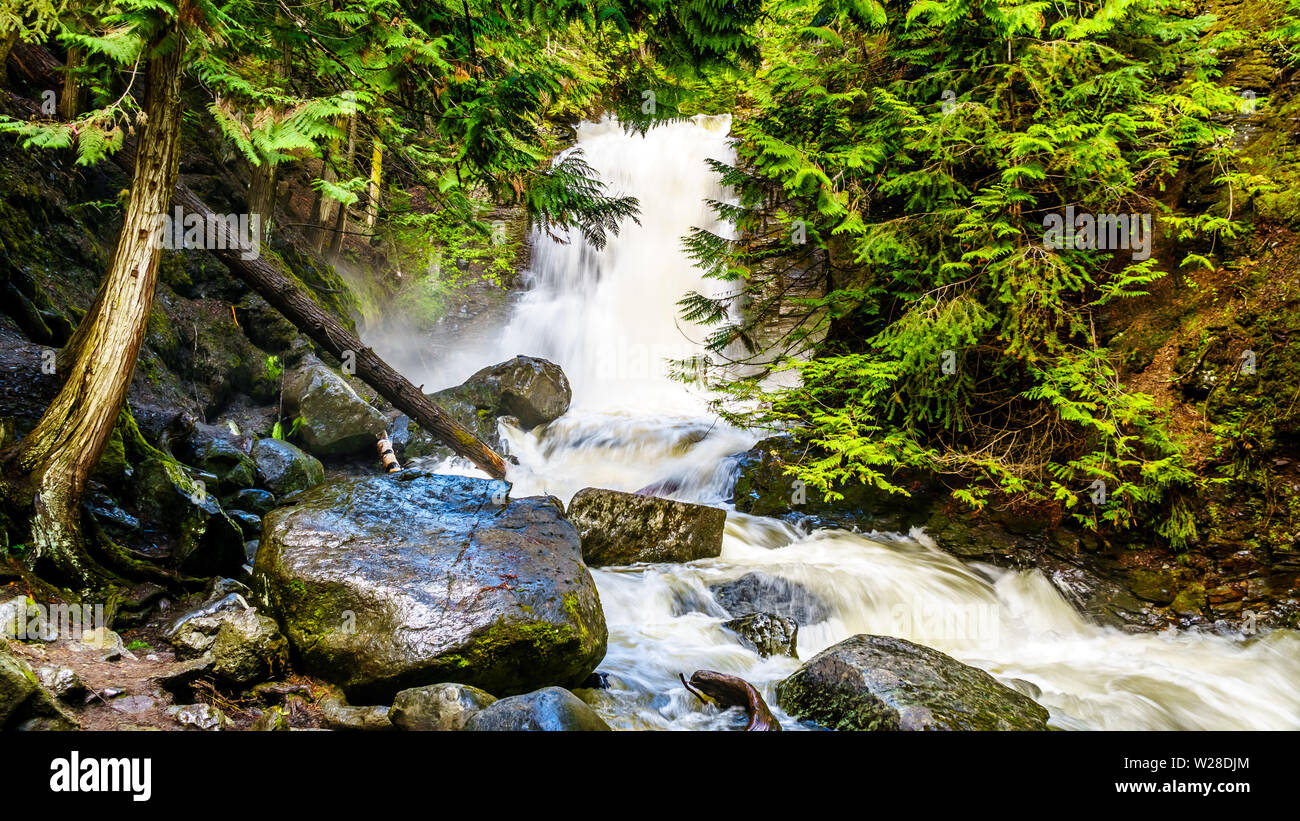 La neige printanière tumbling au sciage et cailloux sur Mcgillivray Creek entre Whitecroft et Sun Peaks dans les hautes terres de Shuswap en C.-B., Canada Banque D'Images