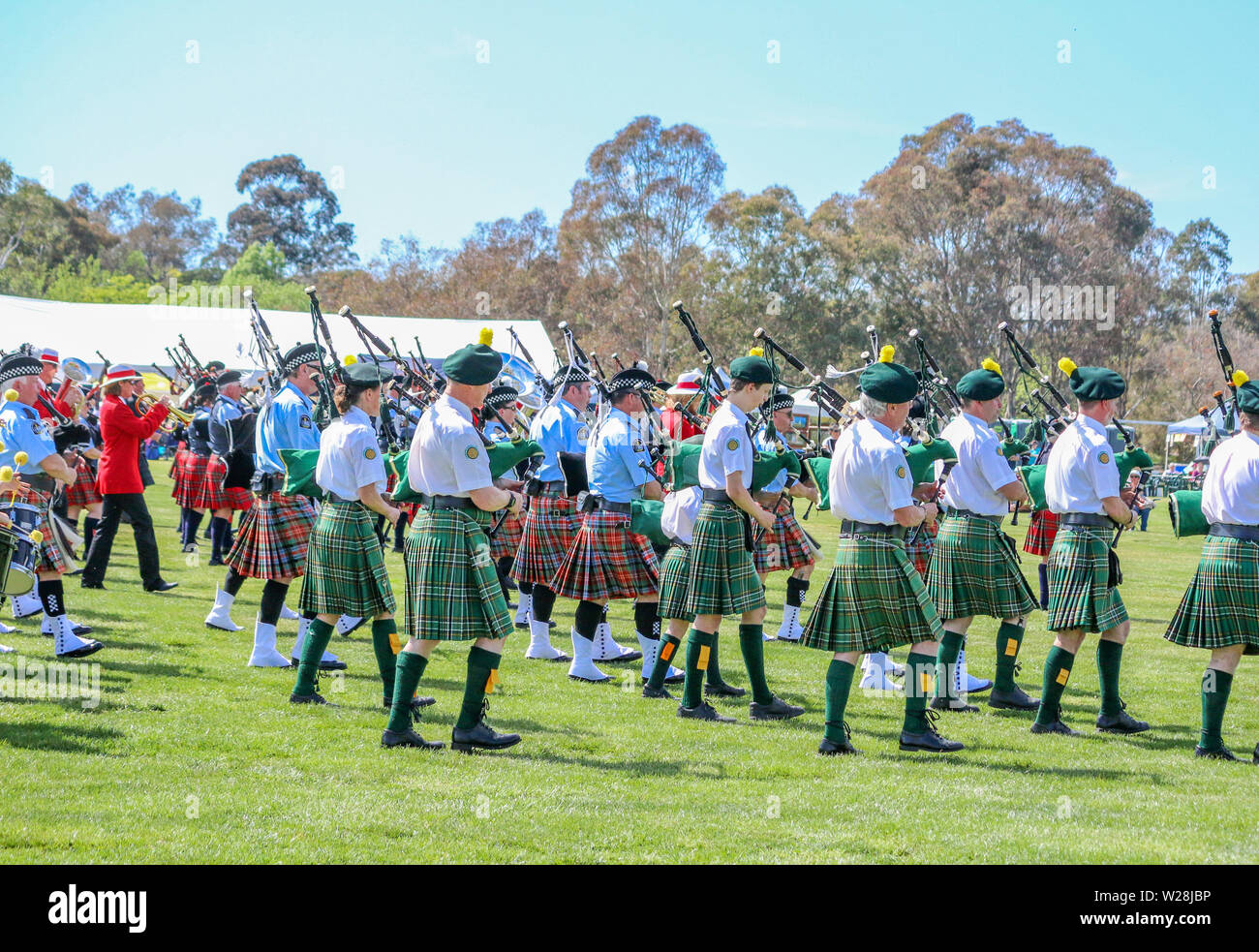 Fanfares à Burns Club Highland Gathering, Canbera Banque D'Images