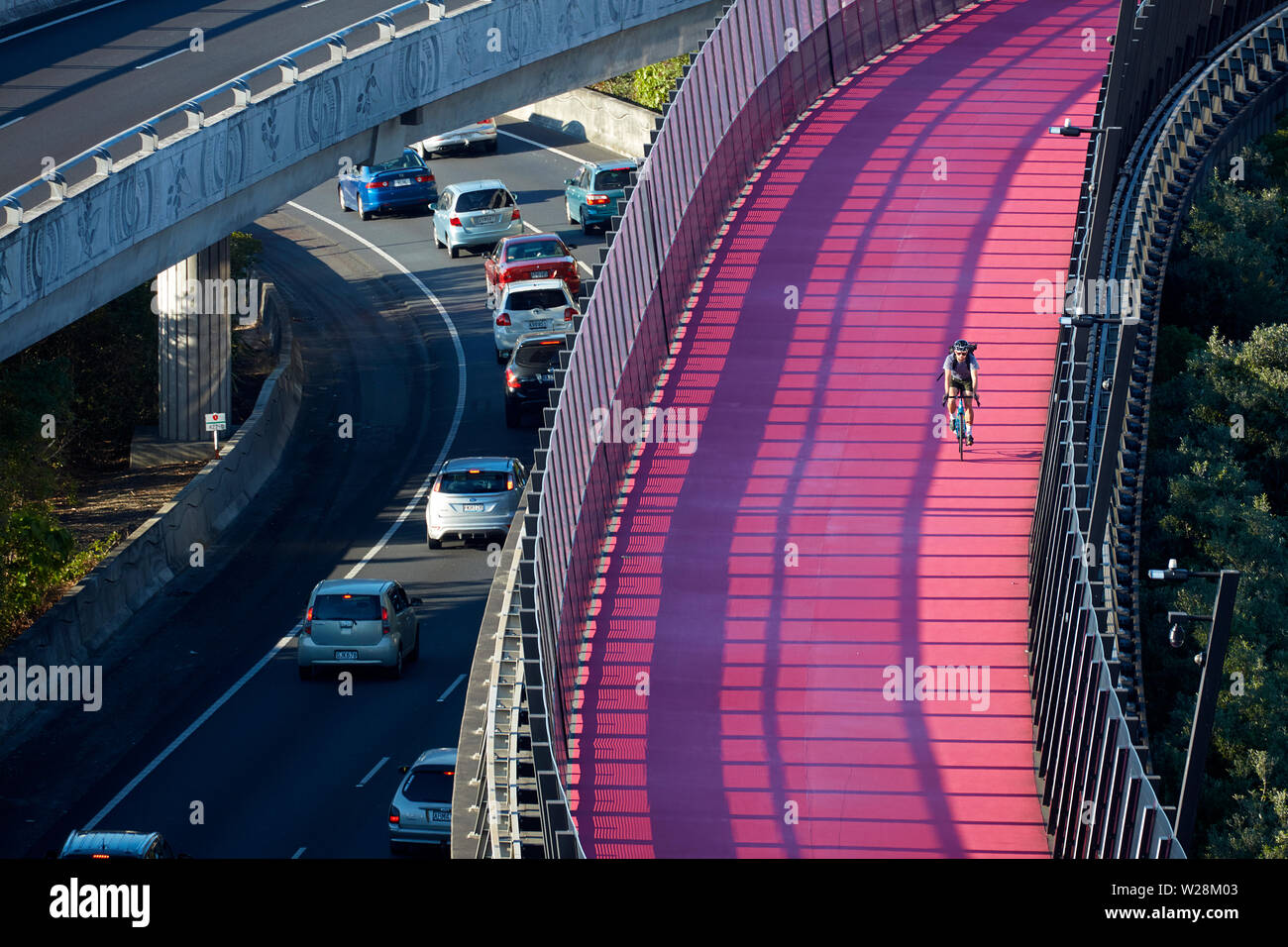Cycliste sur piste cyclable Route optique (je Te Ara Whiti), et la circulation sur autoroute, Auckland, île du Nord, Nouvelle-Zélande Banque D'Images