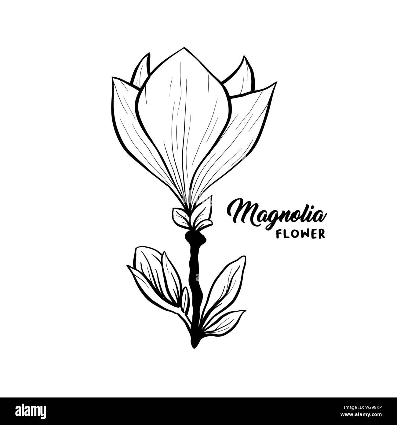 Fleur de Magnolia en fleurs, belle maison et intérieur design, vecteur illustration isolé. Contour Floral contour drawing for laser cuttling fichiers. Fleur de printemps. Plante botanique de fleurs sauvages. Illustration de Vecteur