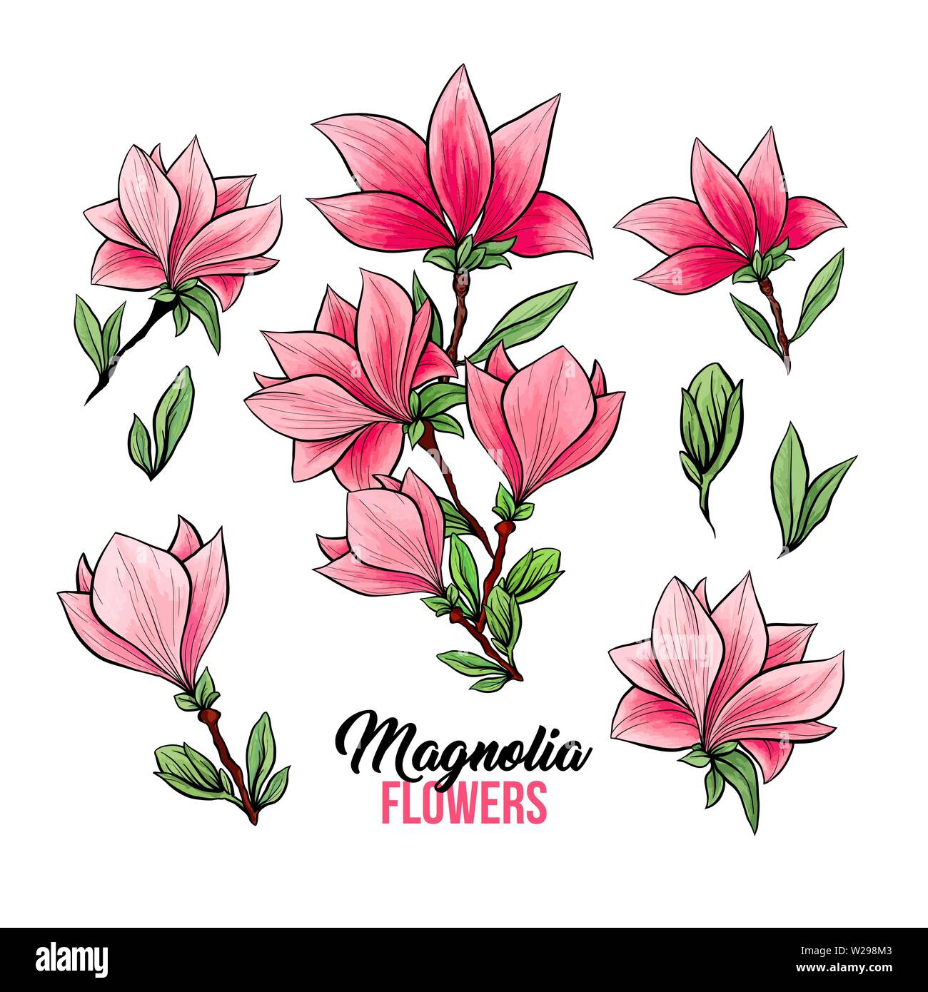 Bouquets de fleurs en fleurs, belle maison et intérieur design, illustration isolé vector set. Pink floral croquis dessins. Fleur de printemps cliparts réaliste. Crayon fleurs sauvages de texture. Illustration de Vecteur