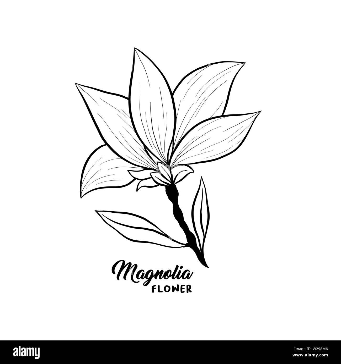 Fleur de Magnolia en fleurs, belle maison et intérieur design, vecteur illustration isolé. Contour Floral contour drawing for laser cuttling fichiers. Fleur de printemps. Plante botanique de fleurs sauvages. Illustration de Vecteur