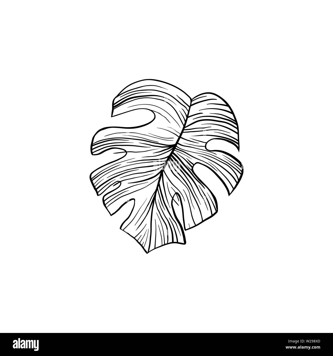 L'usine d'illustration à la main. Plante feuilles de dessin d'art de la ligne de split. Philodendron, monstera leafage croquis stylo encre. Éléments de conception de l'usine de décoration. Description botanique clipart Illustration de Vecteur