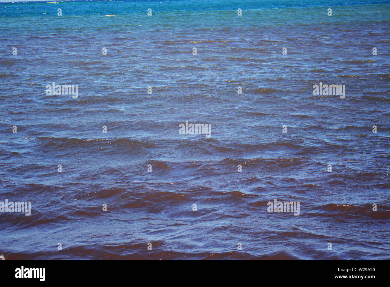 Dégradé de gris (peu profonde) et bleu (l'eau de mer profonde) Banque D'Images
