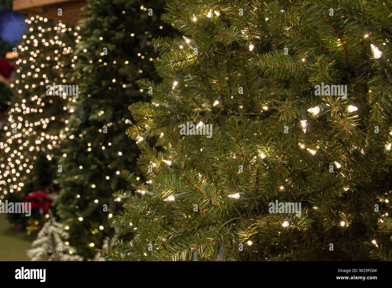 Cueillette à l'arbre de Noël parfait. Rangée d'arbres de Noël artificiels lumineux à vendre Banque D'Images