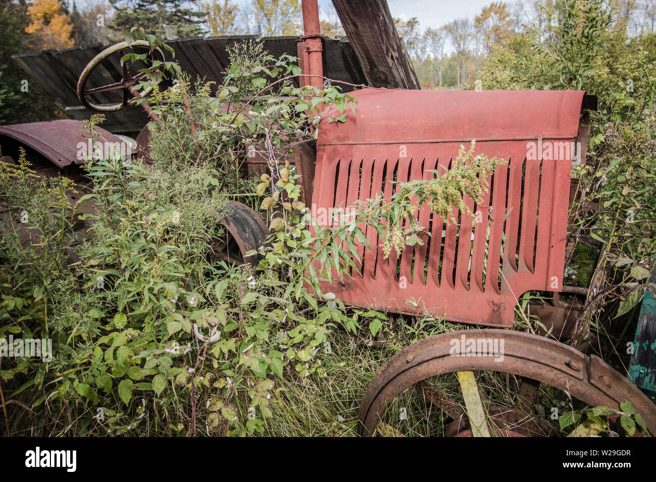 Anciens abandonnés le tracteur dans le champ. Terrain agricole avec rouillé vintage tracteur dans un champ couvert de végétation. Banque D'Images