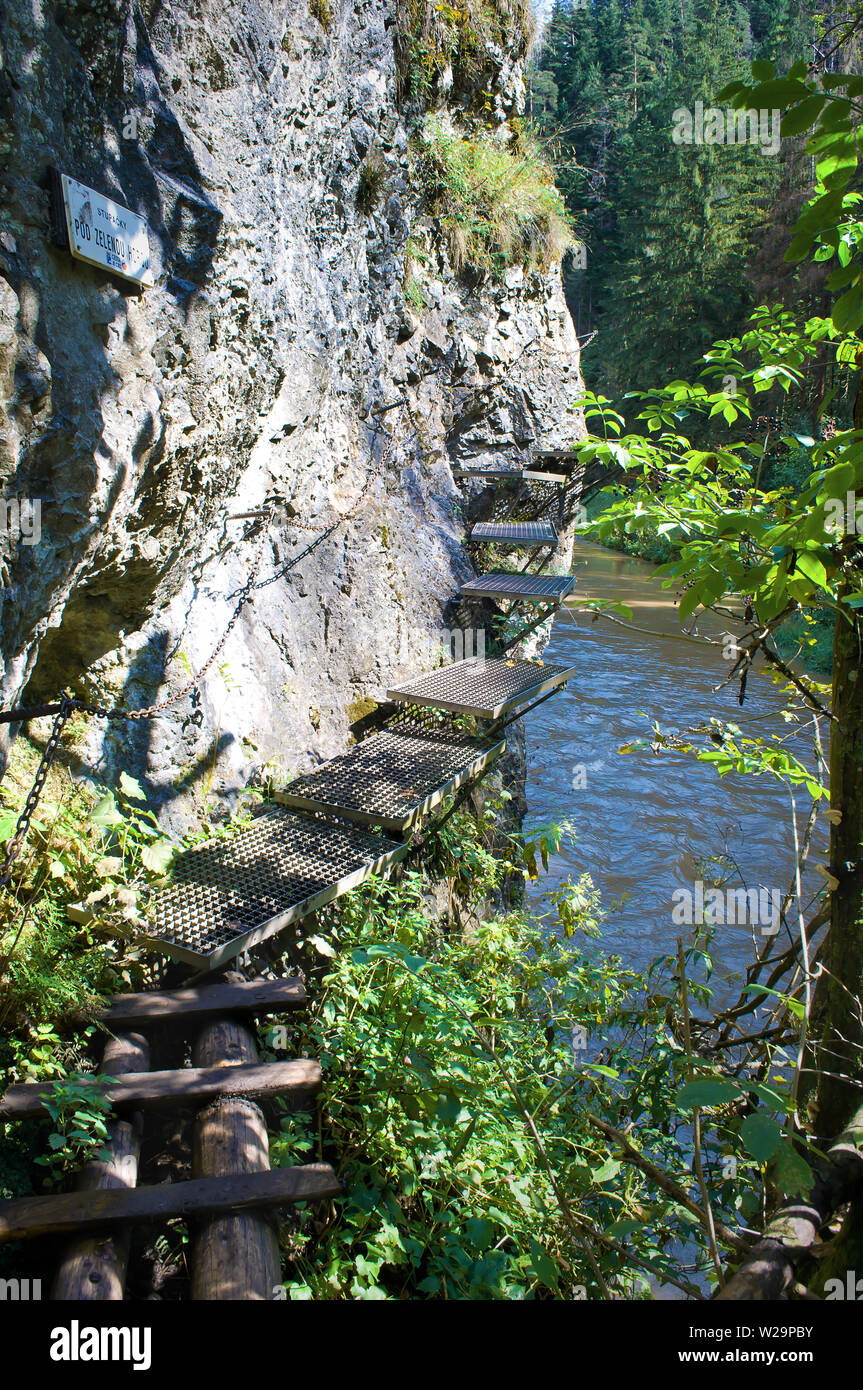 Vue d'une échelle en bois et chemin de métal avec des chaînes au-dessus Hornad canyon, Slovensky Raj, la Slovaquie. Brown river stream. Des pins vert foncé, d'énormes rochers Banque D'Images