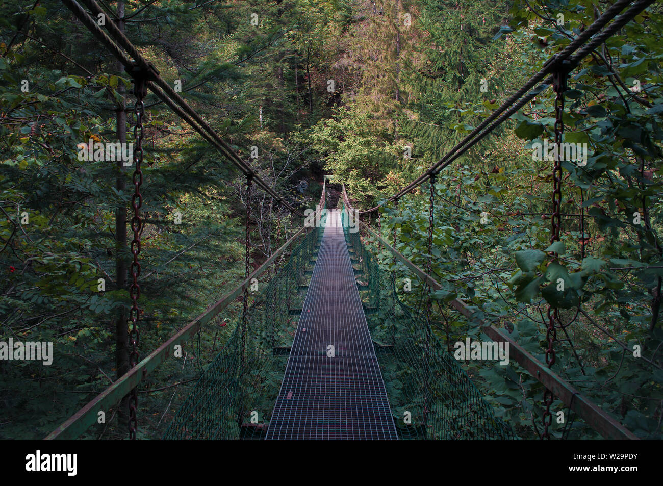 Klastorna métal longue corde lavka passerelle avec garde-corps et des chaînes de fer au-dessus de la rivière Hornad, Slovensky Raj. Des pins vert foncé, journée chaude en septem Banque D'Images