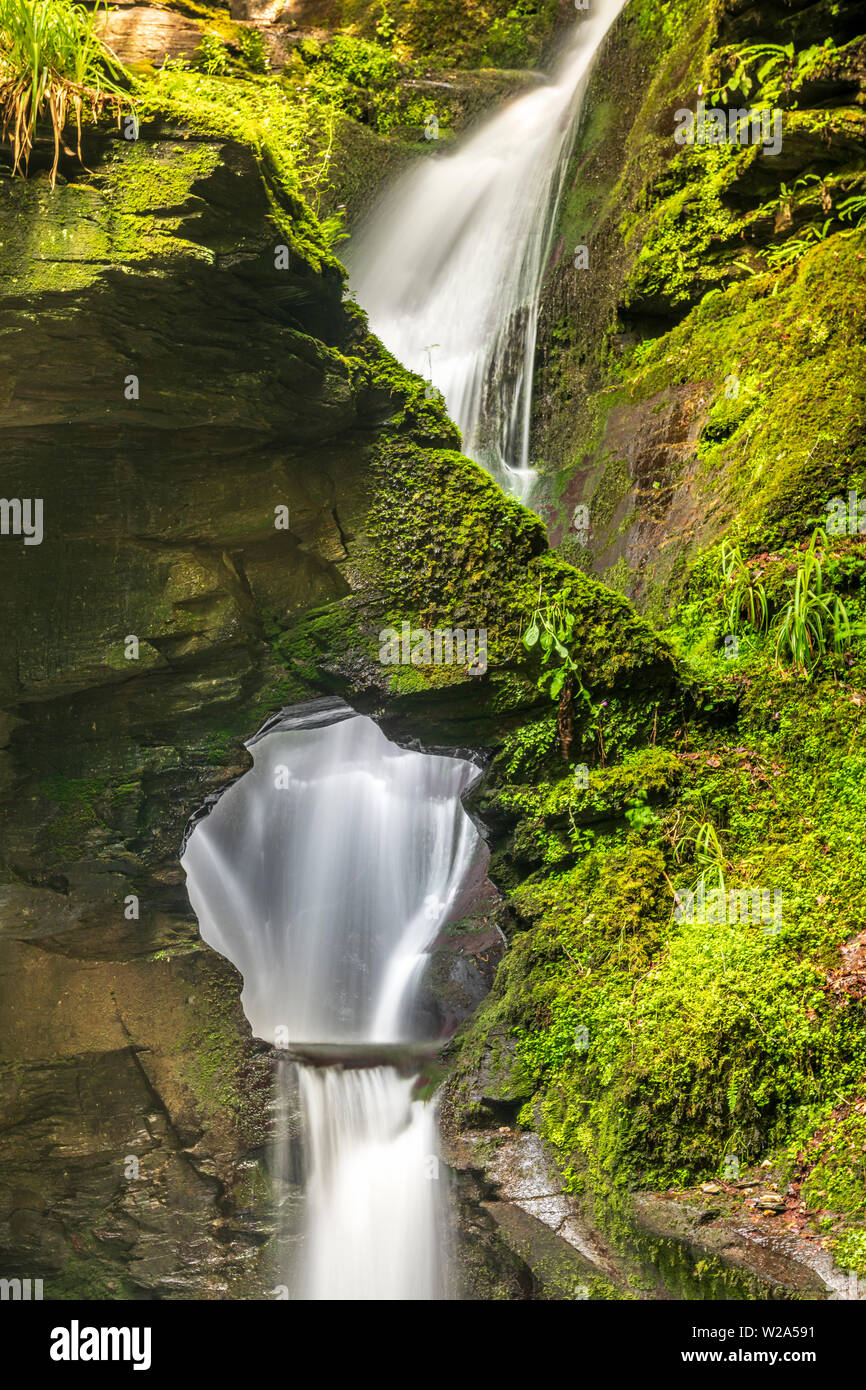 La rivière Trevillet coupe son chemin à travers le Dévonien supérieur l'ardoise pour créer d'une magnifique chute d'eau qui fait partie de l'Nectans Trethevy St Glen près de Banque D'Images