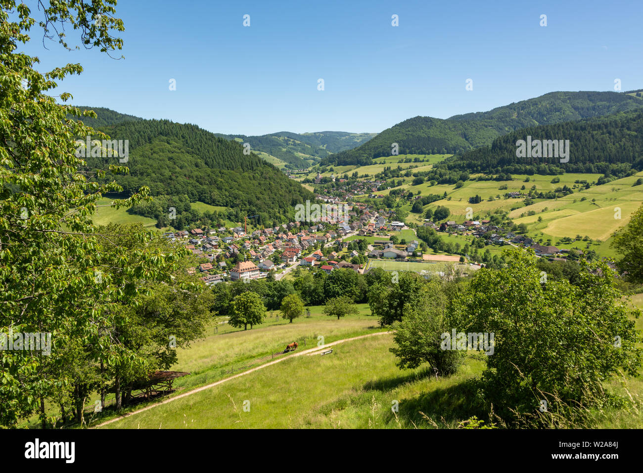 Paysage magnifique image du petit village de villégiature climatiques Muenstertal dans la forêt noire, avec des collines, des prairies et des montagnes en arrière-plan Banque D'Images