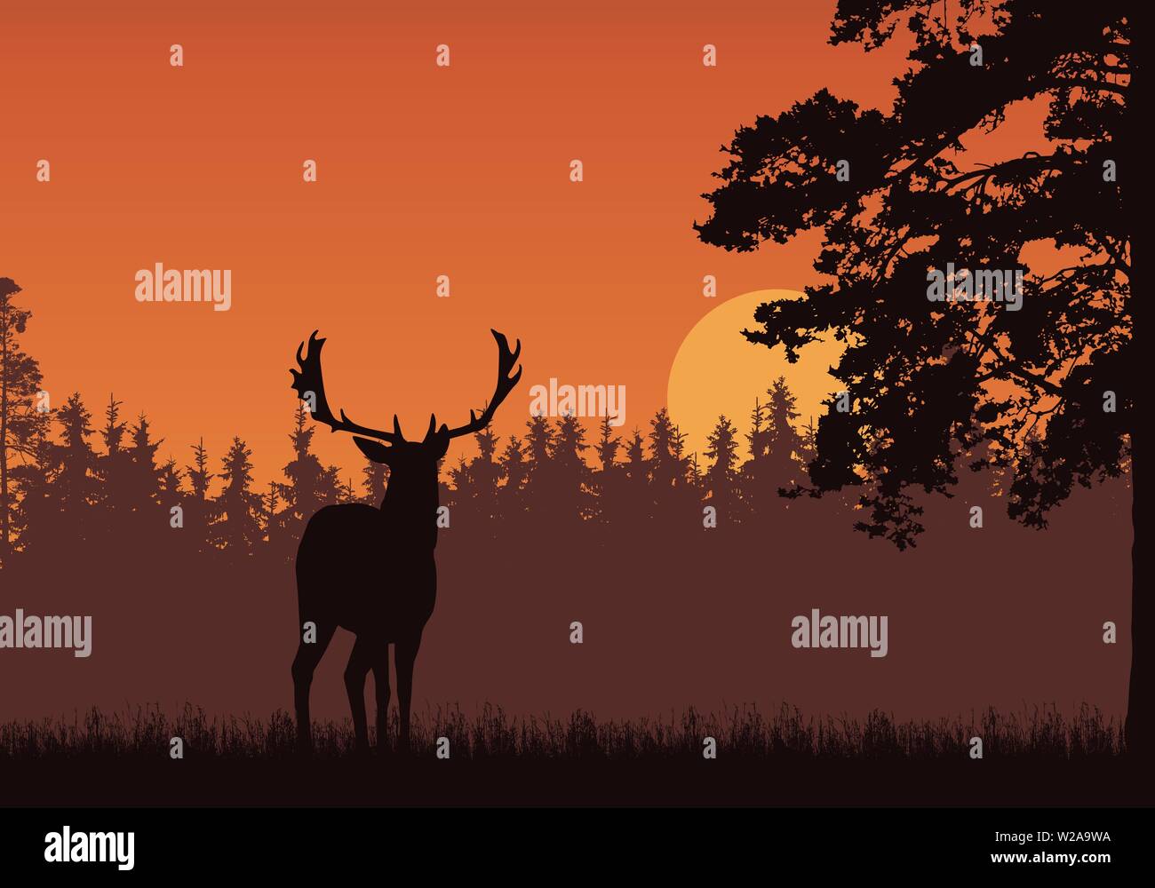 Illustration réaliste de l'article de Virginie, de l'herbe et des arbres. Forêt sous ciel orange avec le lever du soleil ou le coucher du soleil. Avec l'espace pour le texte - vector Illustration de Vecteur