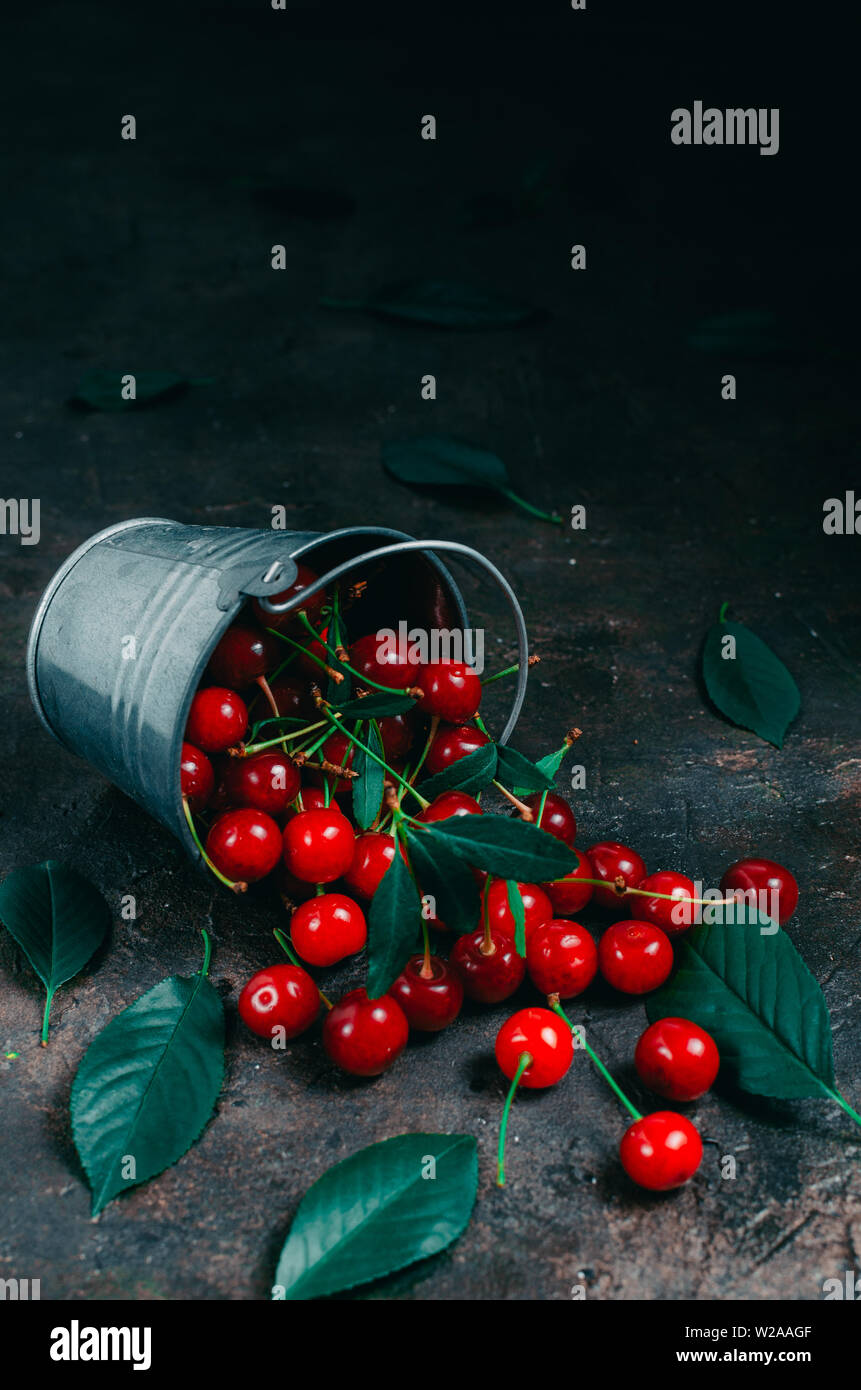 Cherry est passé d'un petit seau à l'ancienne, rustique, sol en béton.lumineux et petits fruits mûrs avec le feuillage vert. Banque D'Images