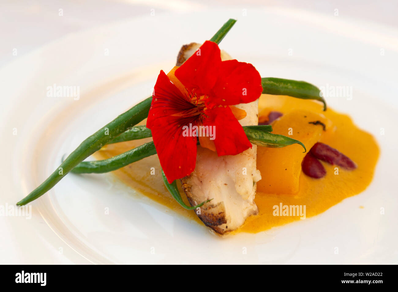 La baudroie est servi avec légumes, sauce et une fleur comestible. Banque D'Images