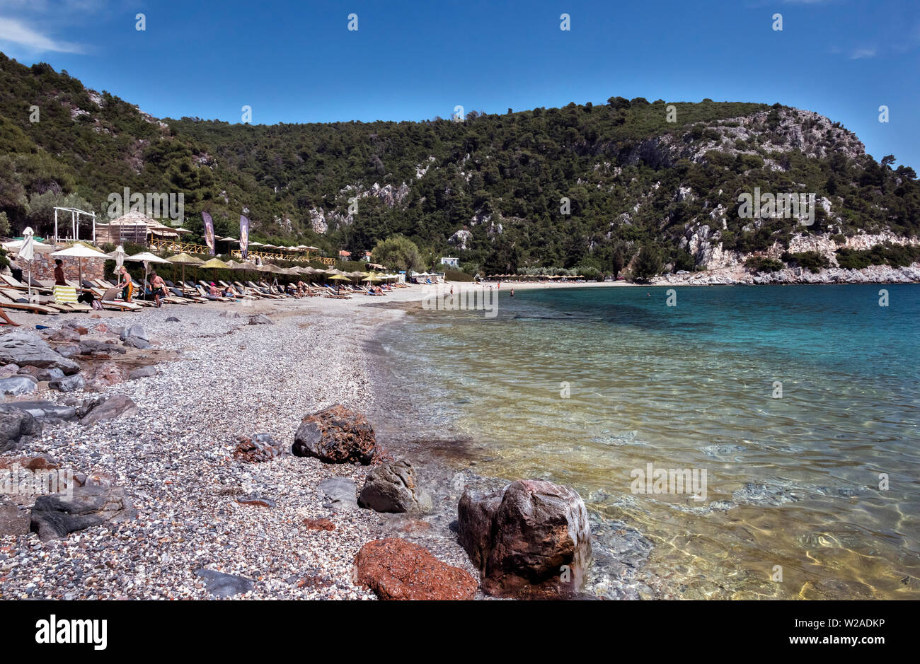 Plage Limnonari, Skopelos, Sporades du Nord de la Grèce. Banque D'Images