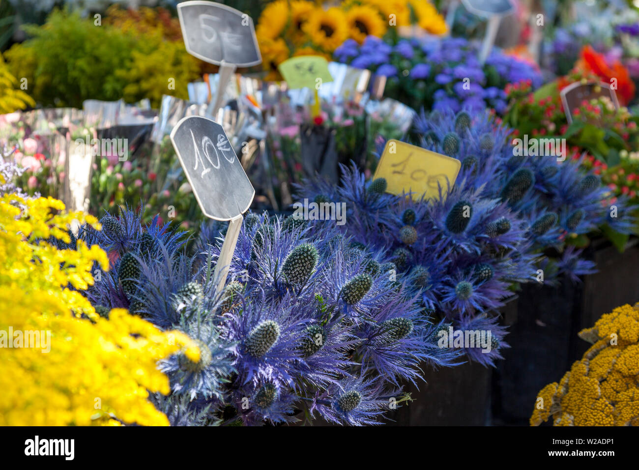 Fleurs à vendre le jour du marché, St Remy de Provence, France Banque D'Images