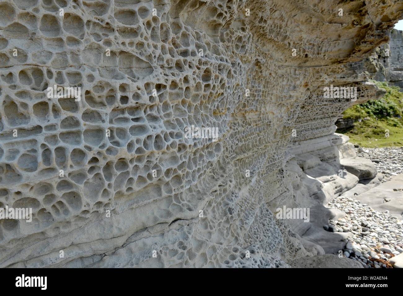 Des modèles d'érosion sculptées par le vent et l'eau de roche Jurassique à Elgol Ile de Skye, Ecosse Banque D'Images