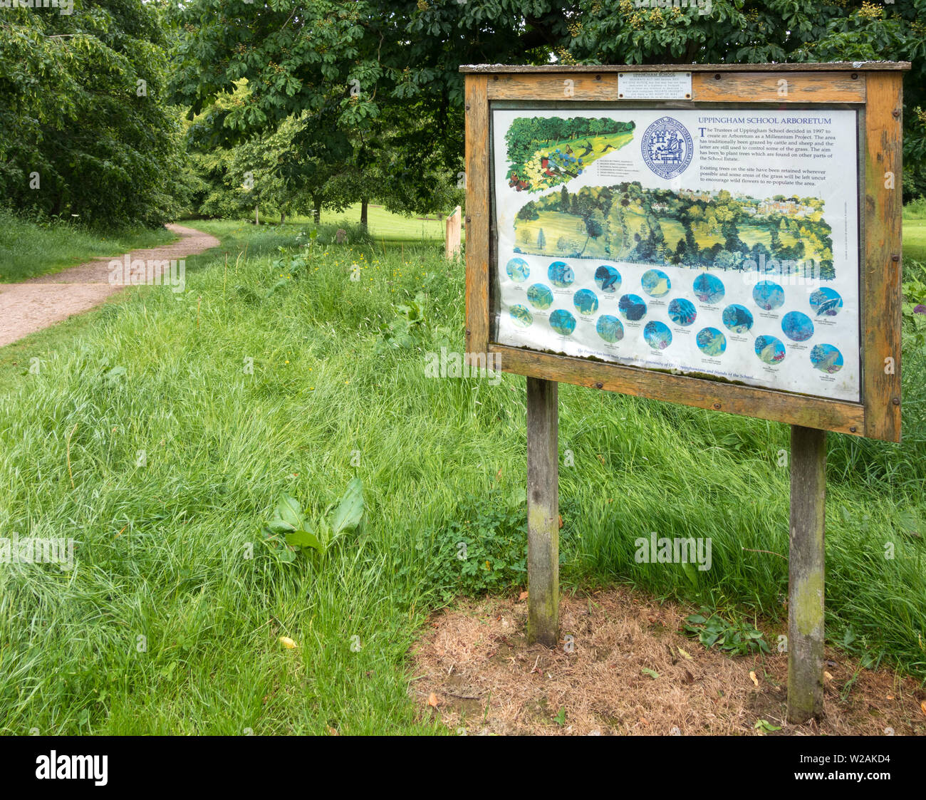 Uppingham School Arboretum d'arbres, d'herbe et de l'information signe, Rutland, England, UK Banque D'Images