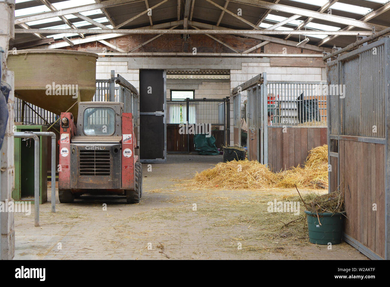 Allemagne - Juillet 2019 : l'intérieur d'animal stable avec des stalles et du foin pour nourrir les animaux Banque D'Images