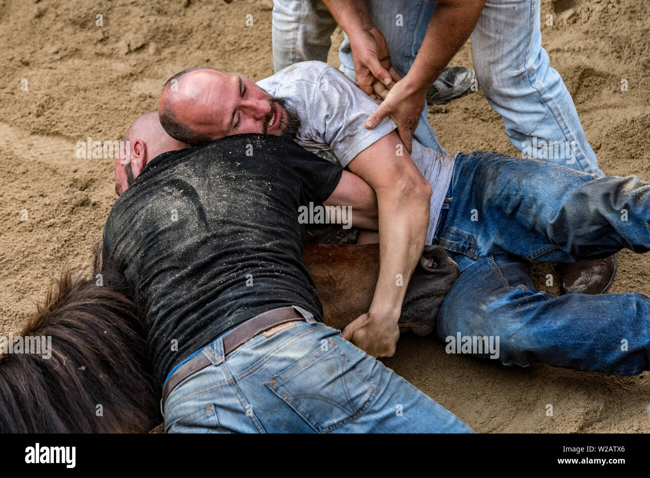 Rapa Das Bestas Saucedo, Galice, Espagne Banque D'Images