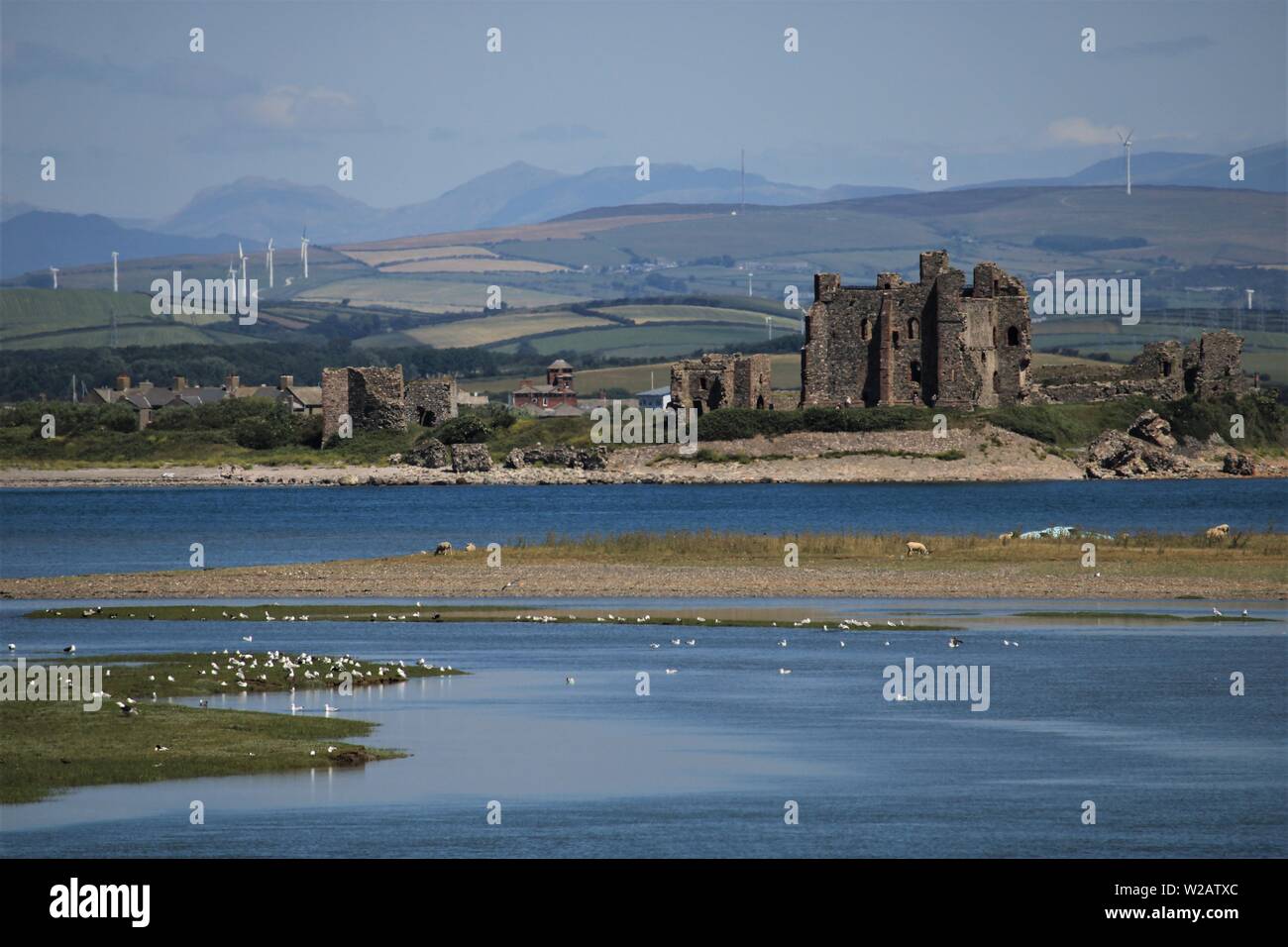 Vue vers l'île de Piel Piel et Château de South Walney, réserve naturelle de l'île de Walney, Barrow-In-Furness Cumbria, UK. L'île de Piel Piel, Cumbria, Royaume-Uni Banque D'Images