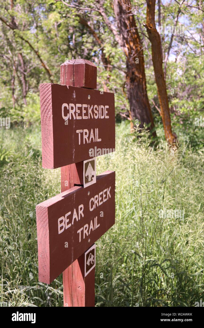 Sentier de Creekside à venir, Bear Creek, Colorado Banque D'Images