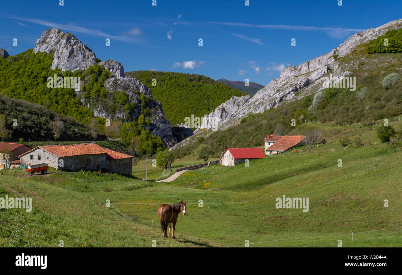 Cheval dans un pâturage en face de certains bâtiments agricoles dans le village de Camasobres dans Parc national des Picos de Europa, l'Espagne Banque D'Images