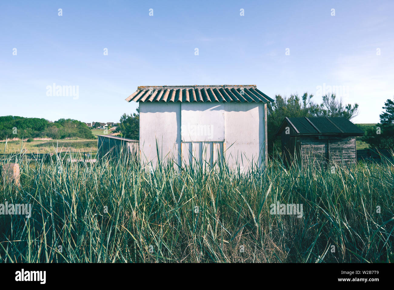 Faire à proximité d'un champ, assis sur le dessus d'une dune et à proximité d'une plage en Normandie  plage de hauteur de l'herbe et la végétation en face d'elle Banque D'Images