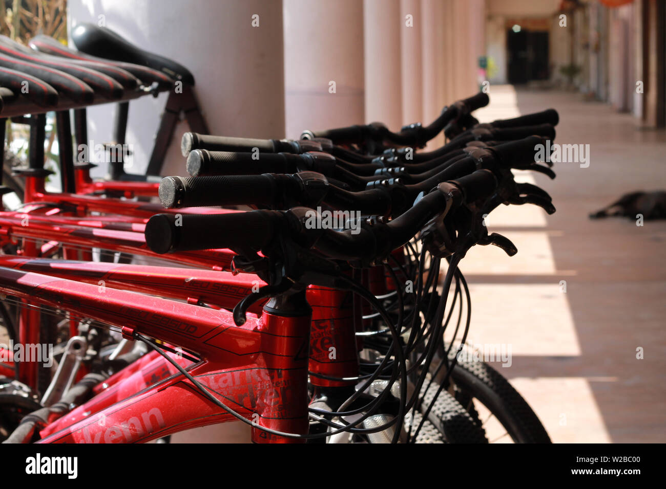 De nombreux nouveaux couleur rouge marque géant bicyclettes vendues à l'extérieur de la boutique à New Delhi Inde Banque D'Images