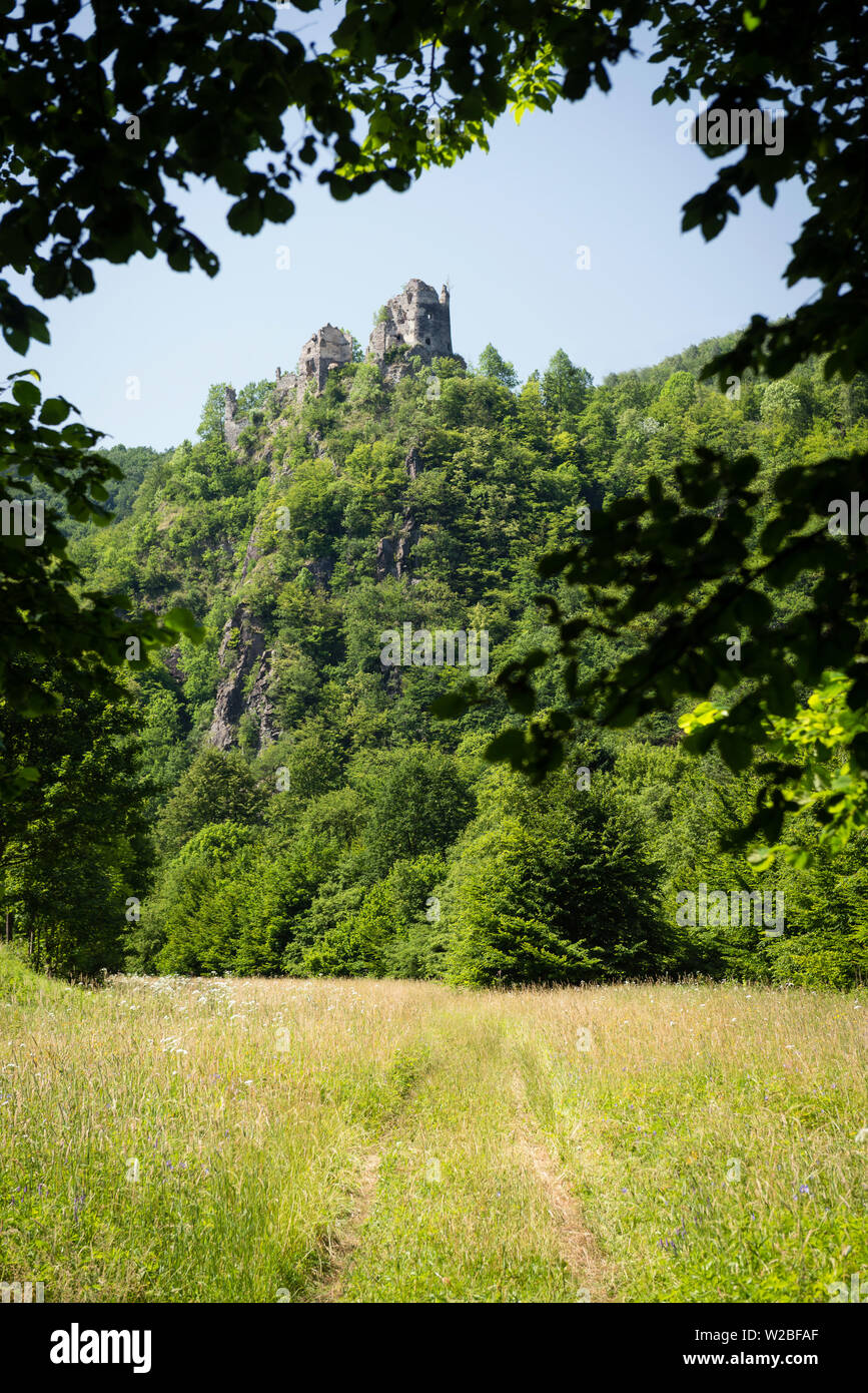 Ruines de l'ancien château (Starhrad Strecno) dans les montagnes Mala Fatra, République Slovaque Banque D'Images