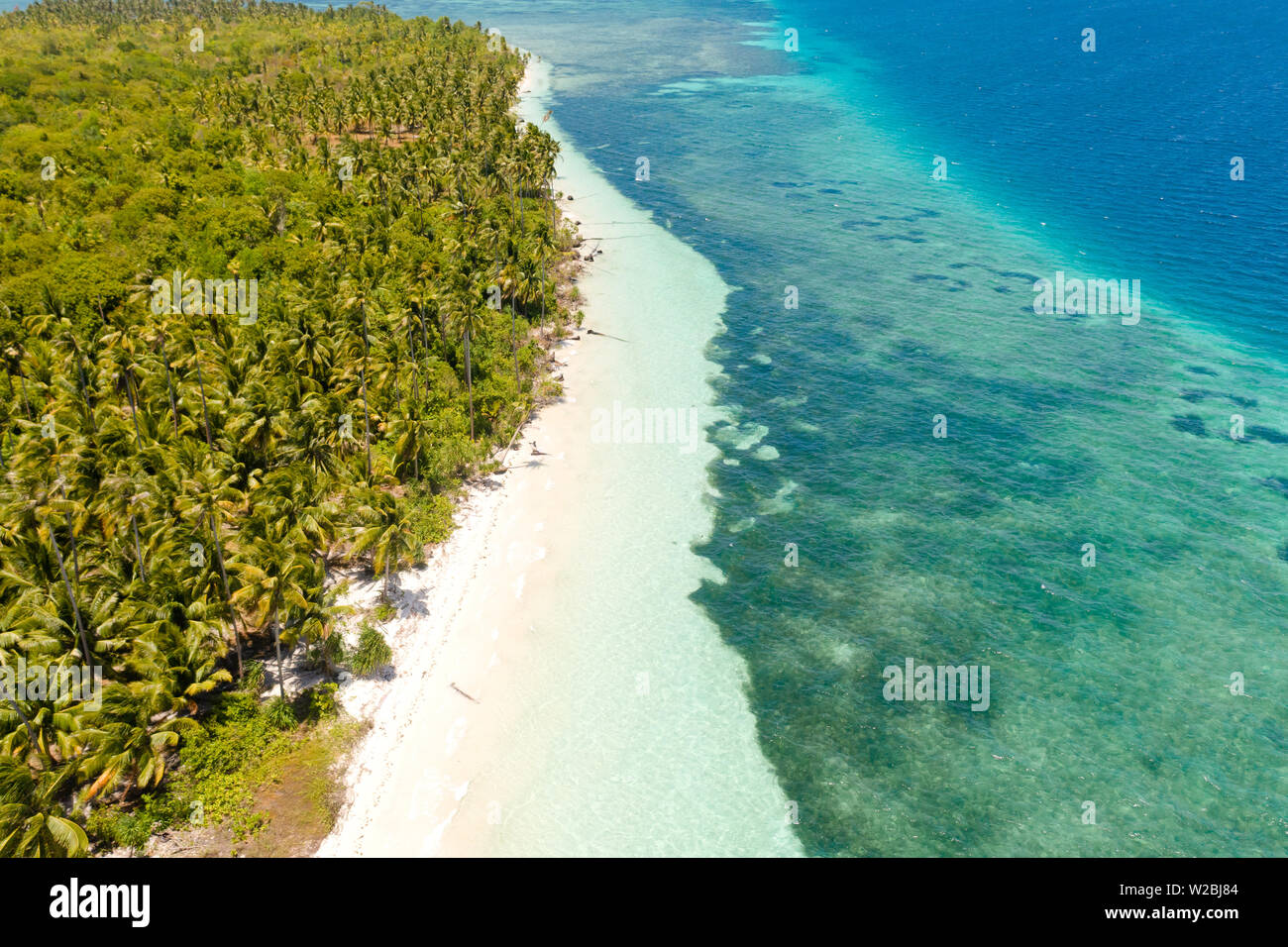 Plage tropicale avec palmiers et sable blanc, vue du dessus. Plages philippines. La côte d'une île magnifique avec une plage de sable blanc et de récifs coralliens. Banque D'Images