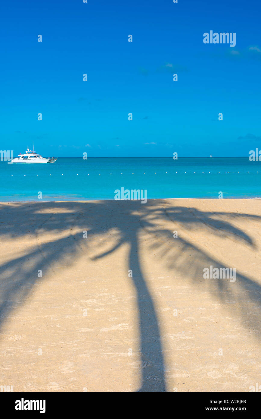 Antigua, Jolly Bay, plage de palmiers Casting Shadows Banque D'Images