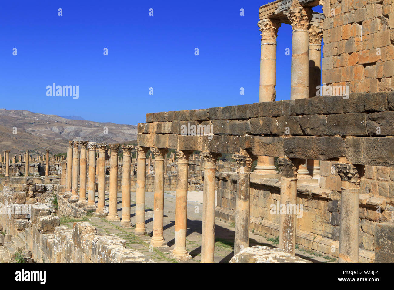 Temple de gens Inspira Santa Marta, Ruines de l'antique ville Cuicul, Djemila, Sétif, Algérie Province Banque D'Images