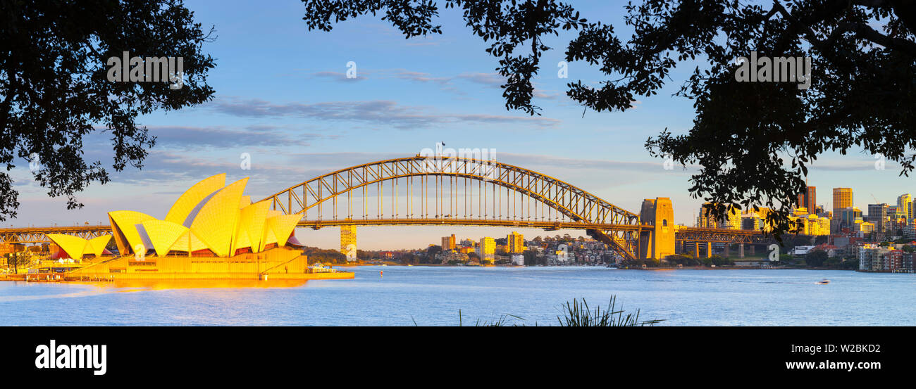 Opéra de Sydney et le Harbour Bridge, Darling Harbour, Sydney, New South Wales, Australia Banque D'Images