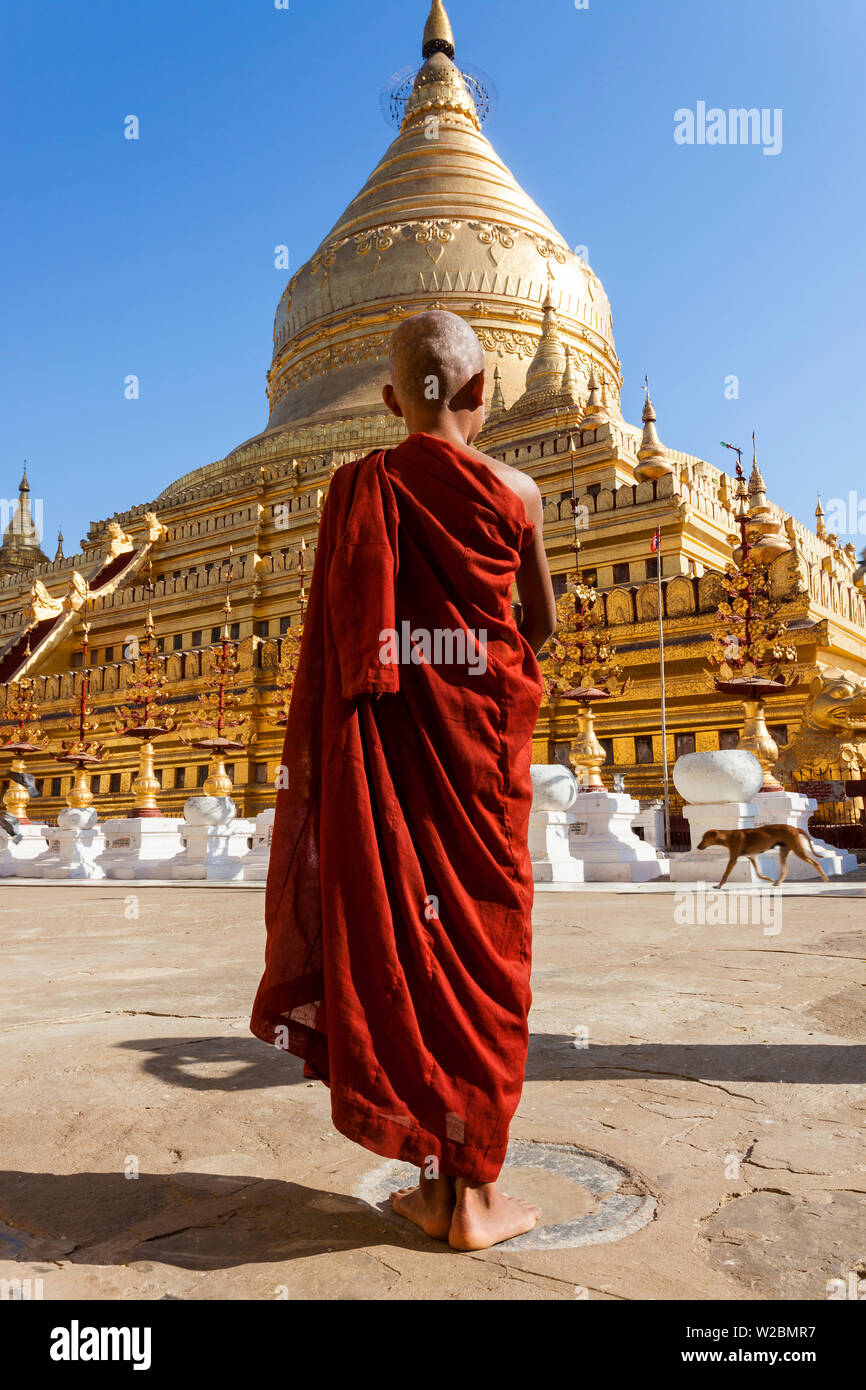 Moine au lieu de prière, la Pagode Shwezigon, Bagan (Pagan), le Myanmar (Birmanie) Banque D'Images