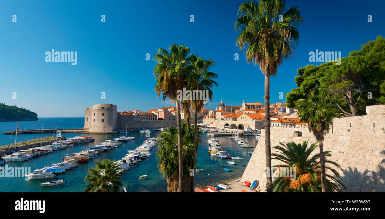 La Croatie, Istrie, Dubrovnik, la vieille ville (Stari Grad), Vieux Port Banque D'Images