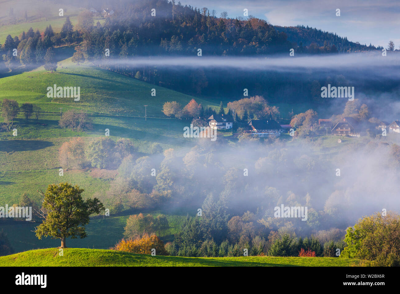 Allemagne, Baden-wurttemberg, Forêt Noire, Oberkirch, matin d'automne, brouillard Banque D'Images