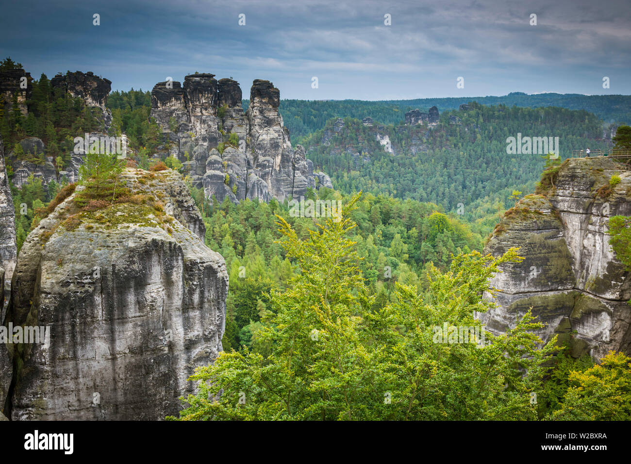 Bastei, le Parc National de la Suisse Saxonne, Saxe, Allemagne Banque D'Images