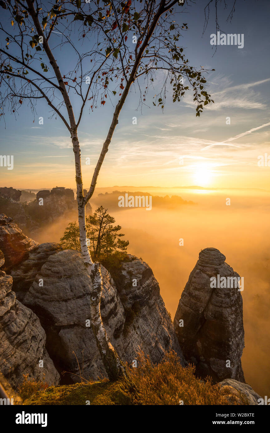 Bastei, le Parc National de la Suisse Saxonne, Saxe, Allemagne Banque D'Images