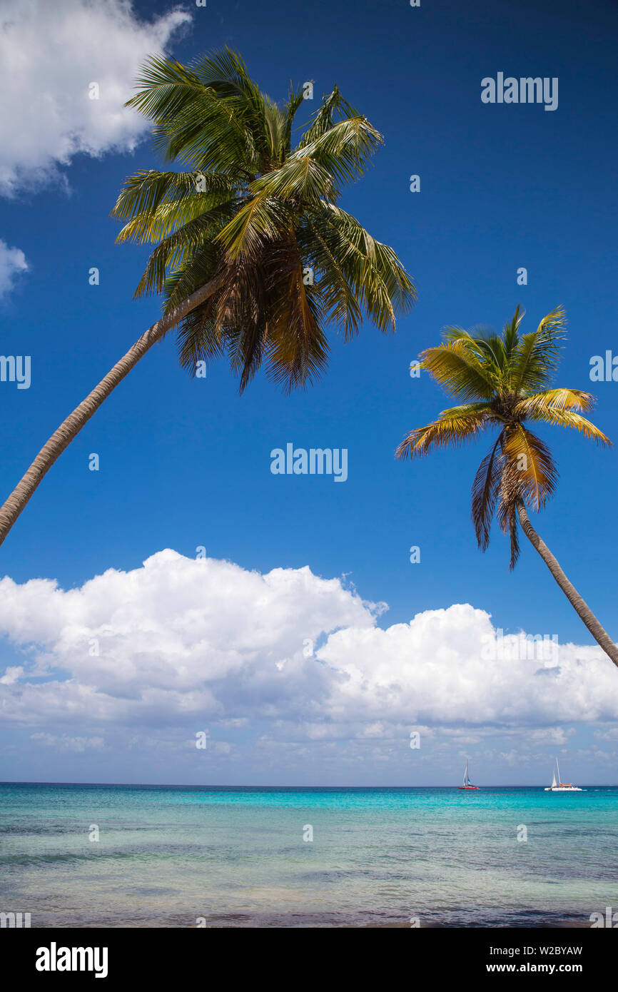 République dominicaine, Punta Cana, Parque Nacional del Este, l'île de Saona, Catuano Beach Banque D'Images