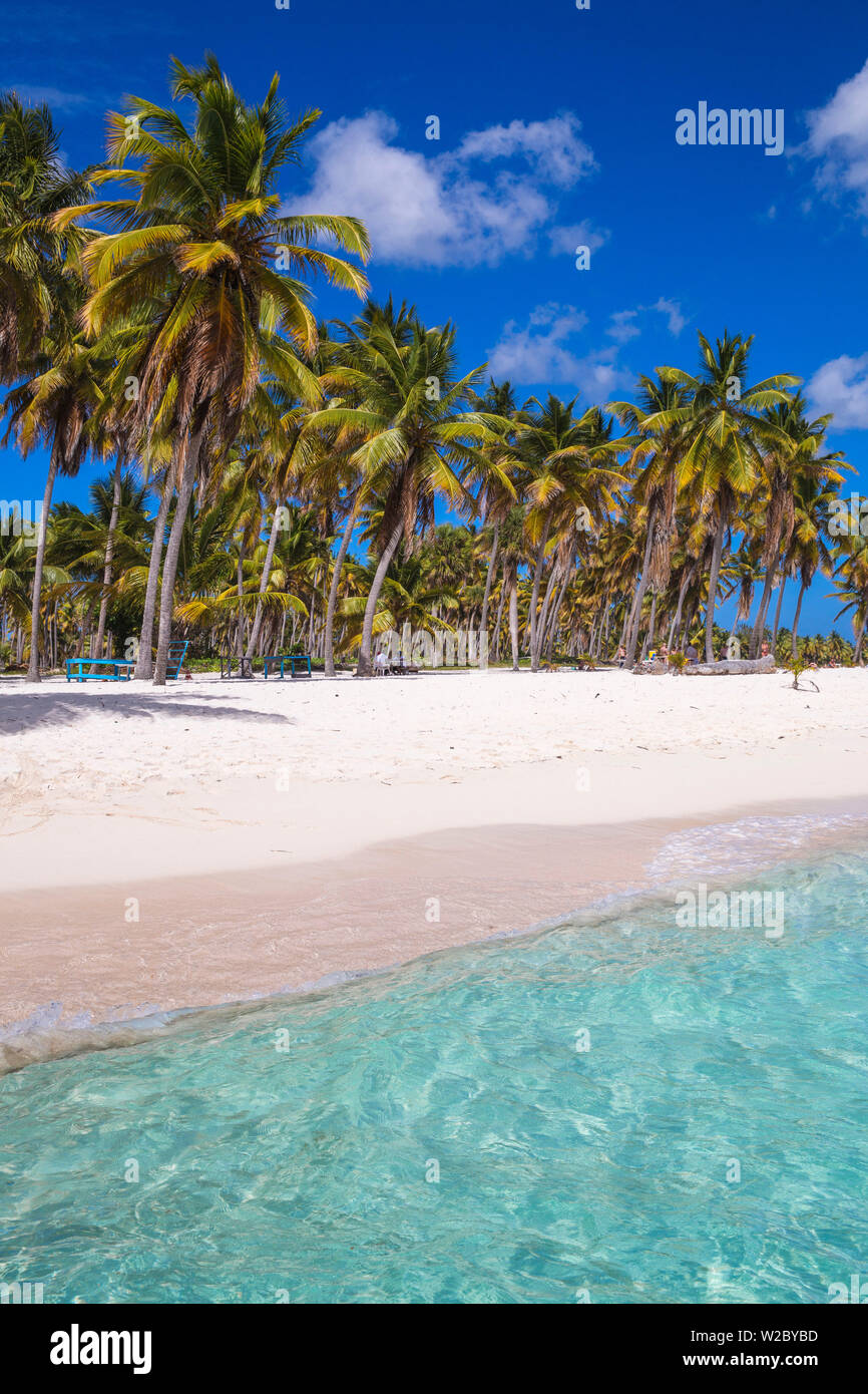 République dominicaine, Punta Cana, Parque Nacional del Este, l'île de Saona, canto de la Playa Banque D'Images