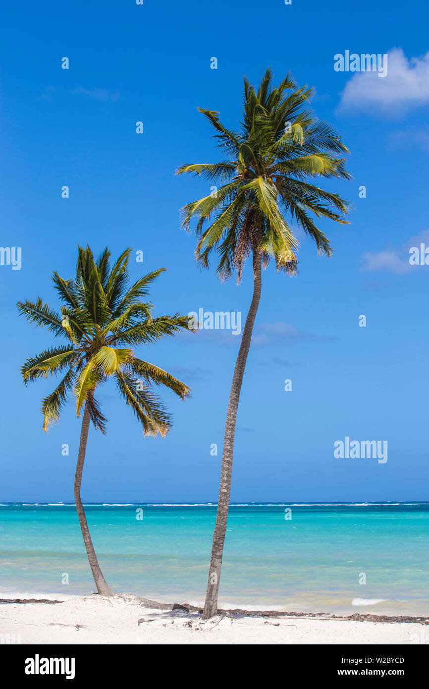 République dominicaine, Punta Cana, Playa Bavaro Beach Banque D'Images