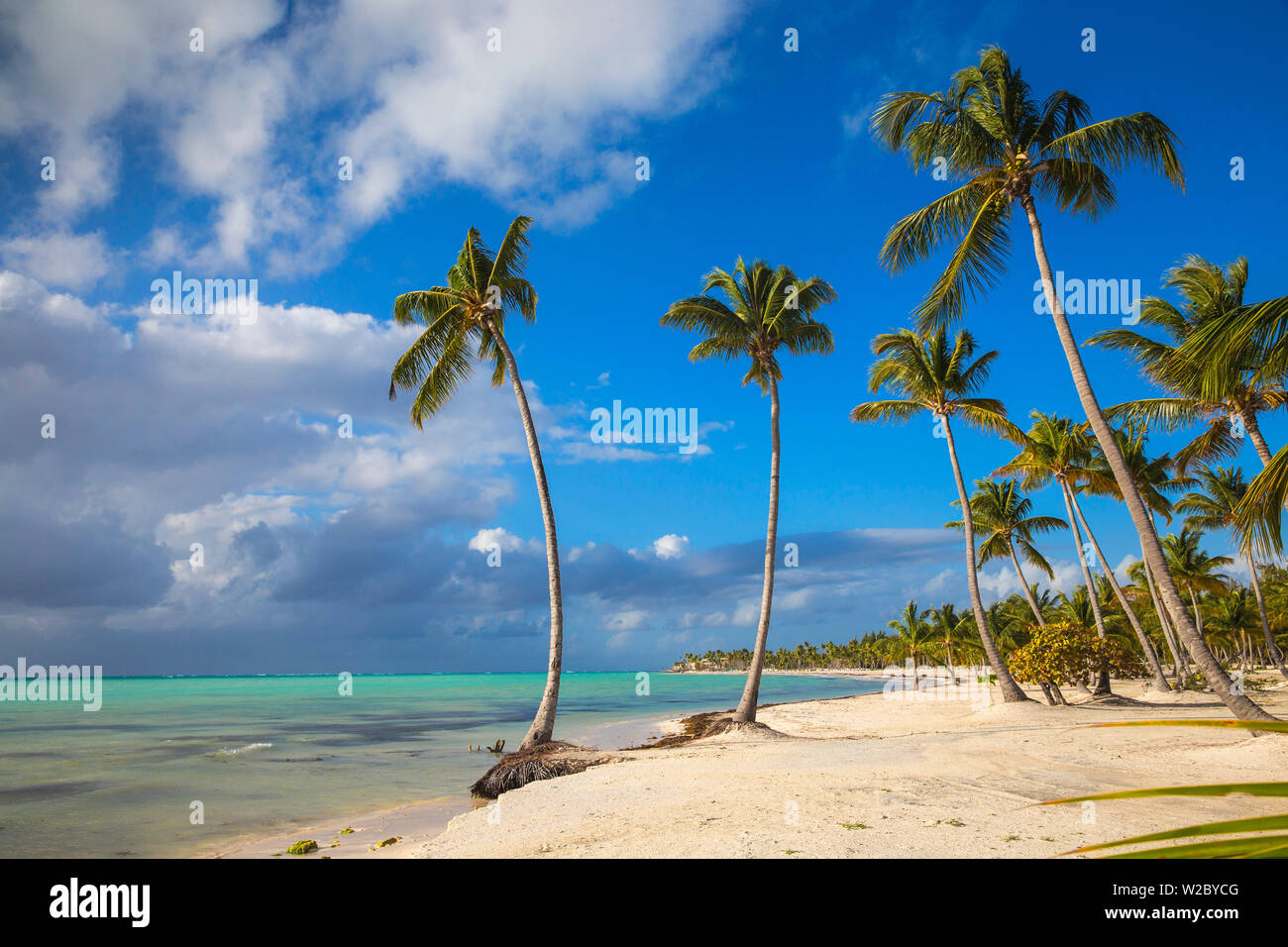 République dominicaine, Punta Cana, Cap Cana, Juanillo Beach Banque D'Images